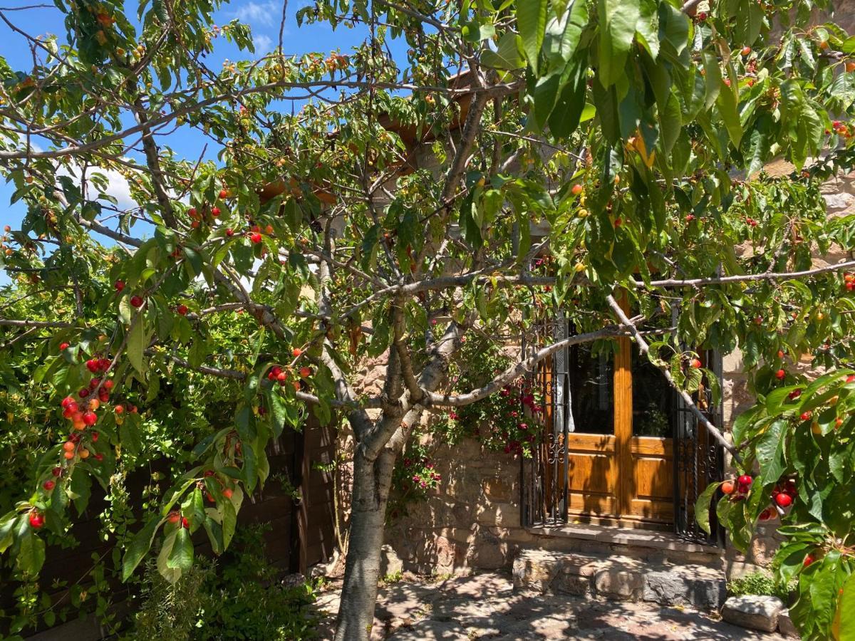 Era De Trespui En Pirineos Villa Peramea ภายนอก รูปภาพ
