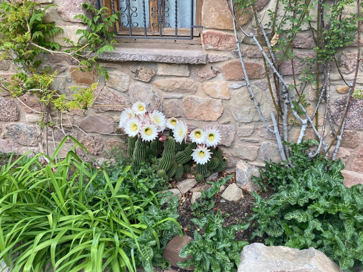 Era De Trespui En Pirineos Villa Peramea ภายนอก รูปภาพ